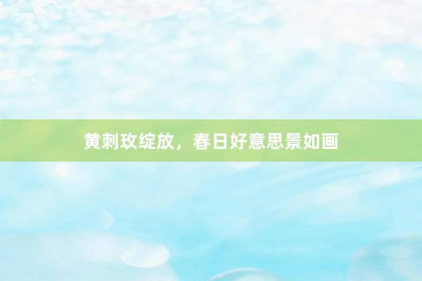 黄刺玫绽放，春日好意思景如画