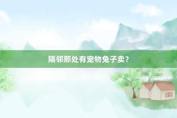 隔邻那处有宠物兔子卖？