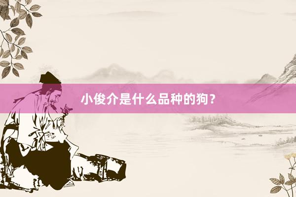 小俊介是什么品种的狗？